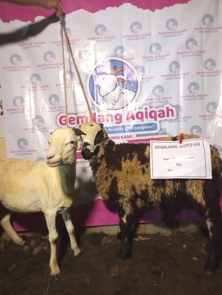 WhatsApp Image 2025-11-07 at 10.40.03