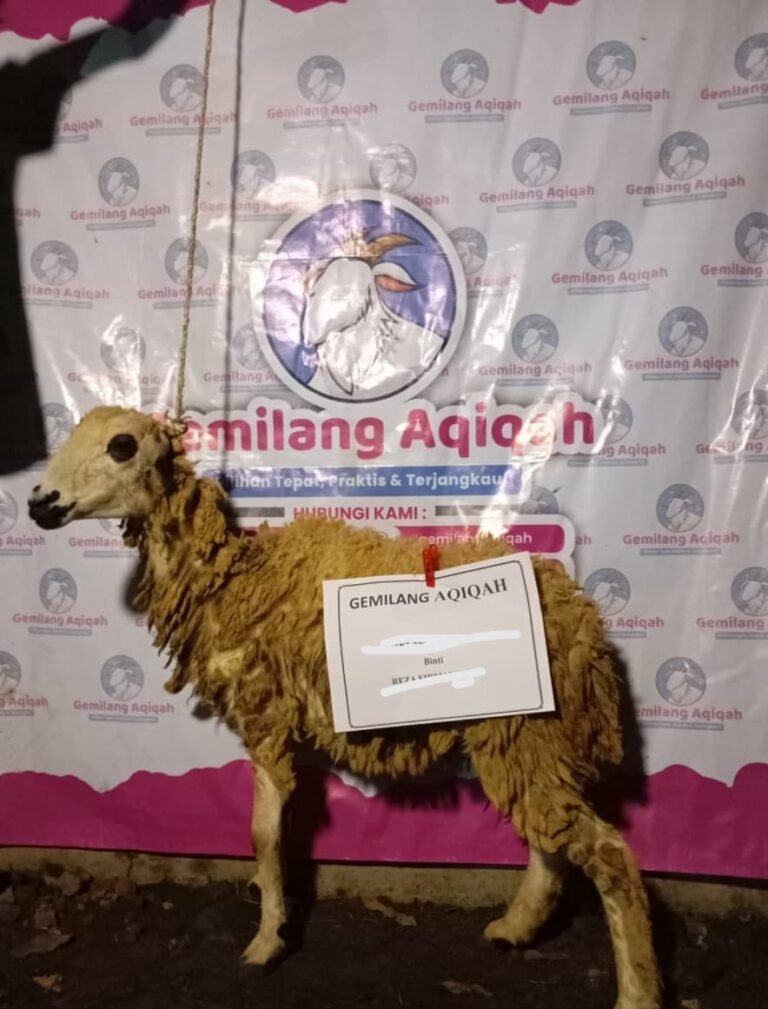 WhatsApp Image 2025-11-07 at 10.43.01